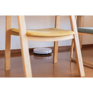 AioX {N[i[~jb{bg|@ Ɠd p v[g 蕨 Mtg p i J^OMtg 