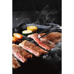 ߍ] T[C Xe[Lp v450gba Y  Zbg lߍ킹 Hi p v[g 蕨 Mtg p i J^OMtg 