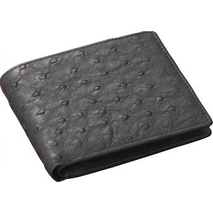 �a�m�p�I�[�X�g���b�`���z �u���b�N�b�v���i ������p �v���[���g ���蕨 �M�t�g �����p ���������i �J�^���O�M�t�g ��������