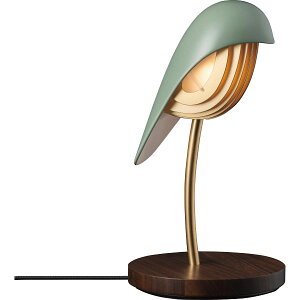 LEDfXNCg o[h I[ubƖ Cg Ɠd p v[g 蕨 Mtg p i J^OMtg 