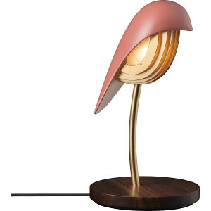 LEDfXNCg o[h ubNbƖ Cg Ɠd p v[g 蕨 Mtg p i J^OMtg 