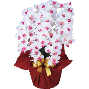 A[eBtBVt[  5{Ӓ zCgr[eB[b A[eBtBV O[  CeA p v[g 蕨 Mtg p i J^O