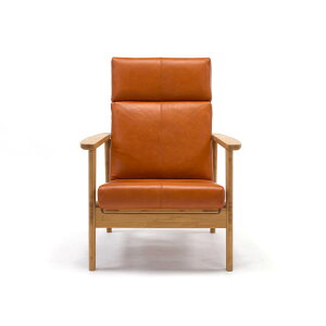 ԌI|Cg呝ʒI|WނCNCjO\t@ z^Cv3bTEORI C SOFA RECLINING TC-SR1 eI q~̔|Ƌ Y  _ fUC i` ou[ Wp
