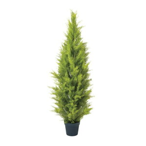 ゴールドクレスト 人工観葉植物の人気商品・通販・価格比較 - 価格.com