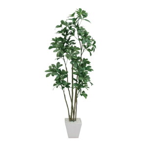 VFt|bg 126cmbO[ A[eBtBVO[ lHϗtA lH ȈՔtO[ O[   ㎿ i  S[WX rO T z[