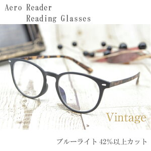 Vዾ@Aero Reader GR-19 u[CgJbg [fBOOX@Be[W@5x ^тɕ֗ȃ\tgP[Xt
