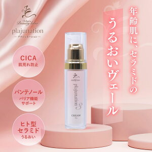 vWl[V/N[N 30g{ N[ qg^Z~h n c XLPA ϕi e   ێ  ttȃNjbN n粐t  rX|[