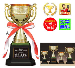 優勝カップ レーザー文字無料 高さ260mm 樹脂製 デザイン優勝カップ 樹脂 トロフィー 卓球 盾 トロフィー 優勝カップ ゴルフ  野球 サッカー 相撲 柔道 剣道 ボウリング 最