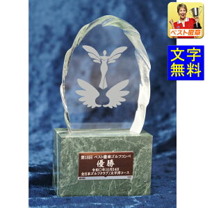 gtB[y40OFFz@145mm@KXgtB[ VRΑ@gtB[@_@i@W-MEL6308-C