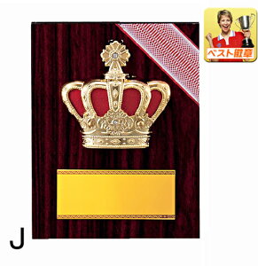 |@@[U[@\@110mm@DJbv@gtB[ ƋLOi@@J@M@Z\ DG܁@ŗDG܁@ŗDGI܁@|@\.DJbv@LO@o@_@