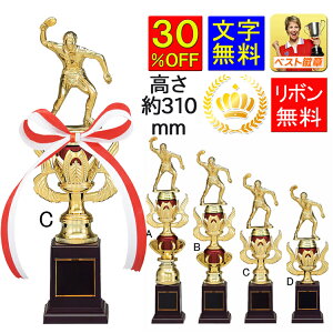 gtB[@310mm@30OFF@ gtB[@@DgtB[@싅@TbJ[@_@@@{EO@oXPbg{[@_[c@]ԁ@r[h@A