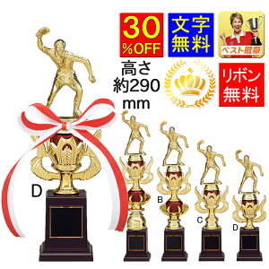 gtB[@290mm@30OFF@ gtB[@@DgtB[@싅@TbJ[@_@@@{EO@oXPbg{[@_[c@]ԁ@r[h@A