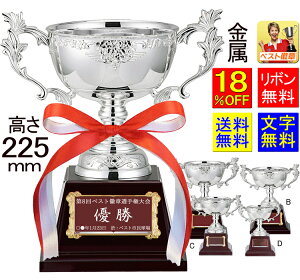 DJbv@225mm@@Vo[@F@@DJbv@@gtB[@DJbv@St@싅@TbJ[@o@_@@{EO@oXP@DgtB