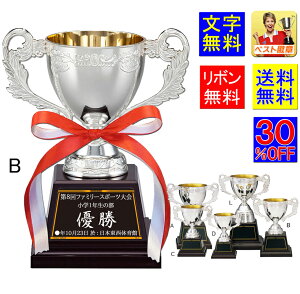 DJbv@30OFF@195mm@@@F@@Vo[@DJbv @gtB[@DJbv@ St@_@o@@p[NSt@VN@Dgt