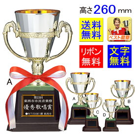 優勝カップ　 送料無料　高さ260mm　文字無料　優勝カップ 　樹脂製　優勝トロフィー　将棋　優勝カップ　フットサル　野球　サッカー　バスケ　バレーボール　グラウンドゴルフ　水泳　バドミントン　相撲　柔道　剣道　空手　優勝カップ　トロフィー　送料無料　K-CP165-A