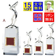 トロフィー 送料無料 高さ250mm 文字無料 ゴルフコンペ トロフィー 優勝カップ ゴルフ トロフィー 優勝カ…