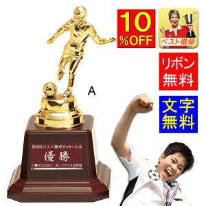 gtB[@TbJ[@@ 165mm 10%OFF DJbv |ƋLOi c LOi  v[g   ƋLO  LO TbJ[ cLOi tbgT TbJ[  