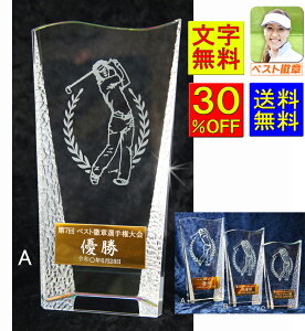 gtB[  30OFF 220mm St [U[ KX NX^@gtB[@St@jAs܁@hR܁@xXgOX܁@StRy@j gtB[ St