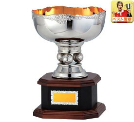 【50％OFF】 【送料無料＆文字無料】ゴルフ優勝カップ A●高さ285mm