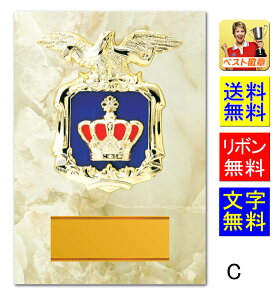 盾 文字無料 高さ300mm 送料無料 記念品に! 表彰楯 トロフィー 盾 メダル 音楽 バスケットボール サッカー ゴルフ バレーボール バドミントン バレーボール 盾 表彰 相撲