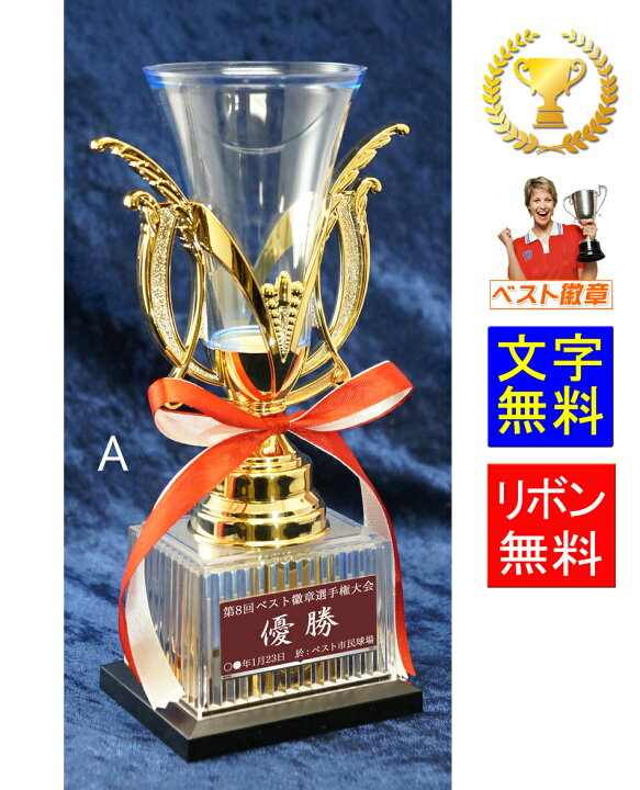 楽天市場 優勝カップ 高さ240mm レーザー文字無料 樹脂製 オシャレな優勝カップ W Fb164 A 優勝カップ 盾 トロフィー 優勝カップゴルフ 優勝トロフィー 最優秀選手賞 優勝カップ サッカー 優勝カップ 野球 ボウリング カップ 優勝カップ 剣道 柔道 スケート 賞