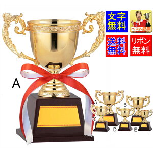DJbv@@10%OFF@245mm@[U[@@S[hJbv@DJbv@@gtB[@DJbvSt@DgtB[@싅@TbJ[@o@_@
