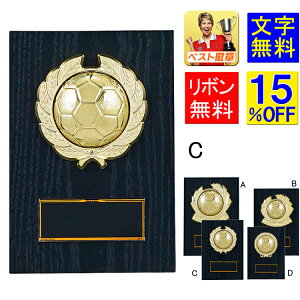 TbJ[ 15OFF 160mm@\@LOi ƋLOi@DG @\|@TbJ[ tbgT@tbg{[@teBO@ŗDGI@S[@AVXg@wfBO@_@g