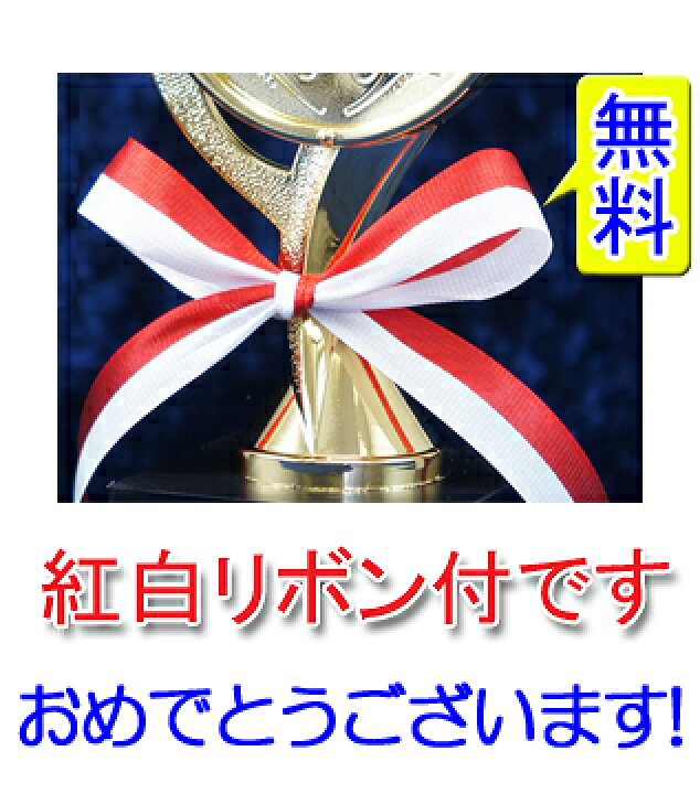 ポイント10倍 10 Off 野球 マラソン ゴルフ 楯 高さ16cm サッカー 文字彫刻無料 卒団記念 サッカー大会専用 So54 D