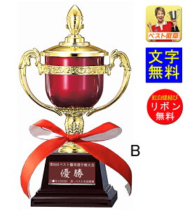 優勝カップ 高さ270mm 文字彫刻無料】樹脂製「赤い優勝カップ 優勝カップ 盾 トロフィー 優勝カップゴルフ 優勝トロフィー トロフィー 野球 サッカー 相撲 柔道 剣道 ボウ