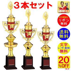 トロフィー 3本セット 送料無料 文字無料 高さ515〜430mm 優勝トロフィー トロフィー ゴルフ 野球 サッカー バドミントン バレーボール グラウンドゴルフ 相撲 柔道 剣道 空手