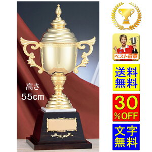 DJbv@@550mm@30OFF@[U[@S[h@F@DJbv@gtB[Jbv@St gtB[@DgtB[@싅@o@@j@TbJ[