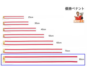 優勝ペナントの通販 価格比較 価格 Com