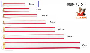 DyiginjTCY250mmi25cmjgtB[EDJbvp@Dҁ@D{@M-P25iM-PN-6j