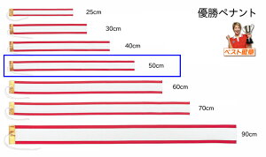 DyiginjTCY500mmi50cmjgtB[EDJbvp@P-50iM-PN-4j50cm