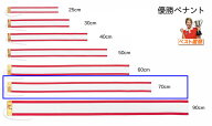 優勝ペナント（無地）長さ700mm（70cm）幅50mmトロフィー・優勝カップ・優勝旗用 P-70 ペナント　　70cm