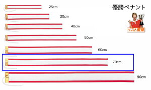 Dyiginj700mmi70cmj50mmgtB[EDJbvEDp P-70 yig@@70cm