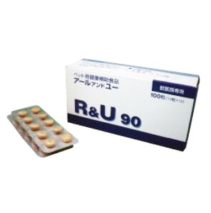 򌢔LpRU90 100 (ph{⏕Hi)yLpA[Ah[90z