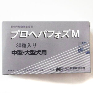 vwptHXM 30 (^E^p)ypN⏕HiAvwptHXGz