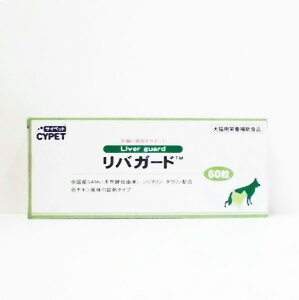 TCybgoK[h60i10×6V[gj(LpN⏕Hi)yCYPETALpȂ̌Nێz