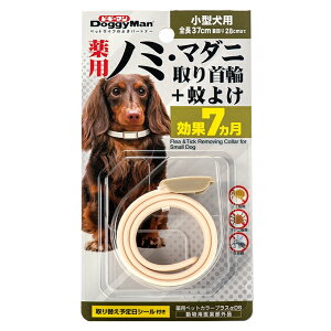 hM[}pm~E}_j+悯^p@7yDoggyManA悯Aցz