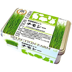 C[X^[ZNVt@[@q͔|Zbg@`V[@ZbgortByYEASTERASELECTION@FARMAʕtorlߑւpAHAETMAbgA``AfO[AnX