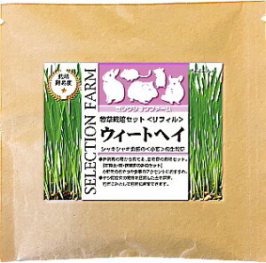 C[X^[ZNVt@[@q͔|ZbgtB@EB[gwCyYEASTERASELECTION@FARMAlߑւpAHAETMAbgA``AfO[AnX^[Ae