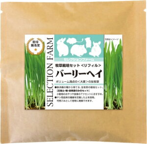 C[X^[ZNVt@[@q͔|ZbgtB@o[[wCyYEASTERASELECTION@FARMAlߑւpAHAETMAbgA``AfO[AnX^[Ae