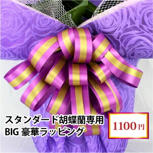 yX^_[hӒ/n[gtFgӒpzBIG؃bsO11ނIׂJ[ rbO{ݍޕ Pis