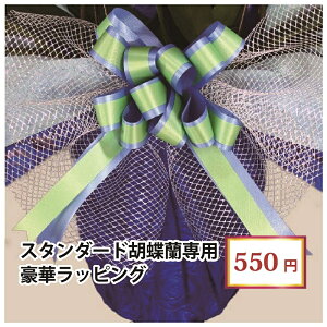 yX^_[hӒ/n[gtFgӒpz؃bsO16ނIׂJ[ Pis