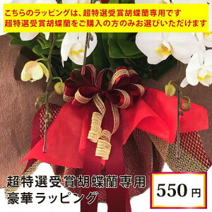 yI܌Ӓpz؃bsO11ނIׂJ[ Pis