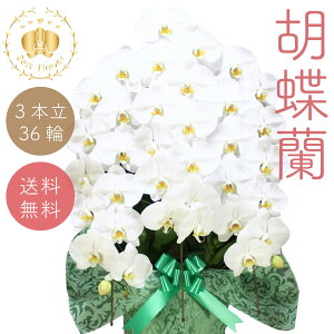 Ӓ X^_[h  3{36ֈȏ 摜zM j Mtg