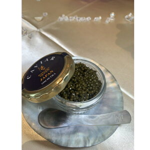 LrA 50g r O 蕨 rl ނ̊ʋlErl Mtg LrA IVFg tbVLrA VFXv[ O咿     J H 