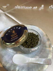 LrA O yv~AIVFgz 20g r × 2Zbg  uh tbVLrA LrA   ґ ܂  ܂ Hו   