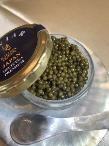 LrA IVFgv~A 50g × 2r LrA tbVLrA IVFg    ܂ 񂹃O ܂ uh i O LO j 